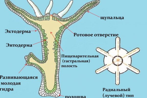 Кракен площадка kr2web in
